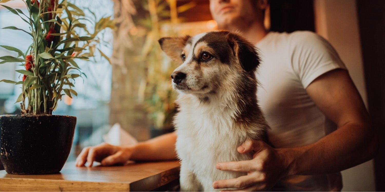 Dog-friendly restaurants Pittsburgh