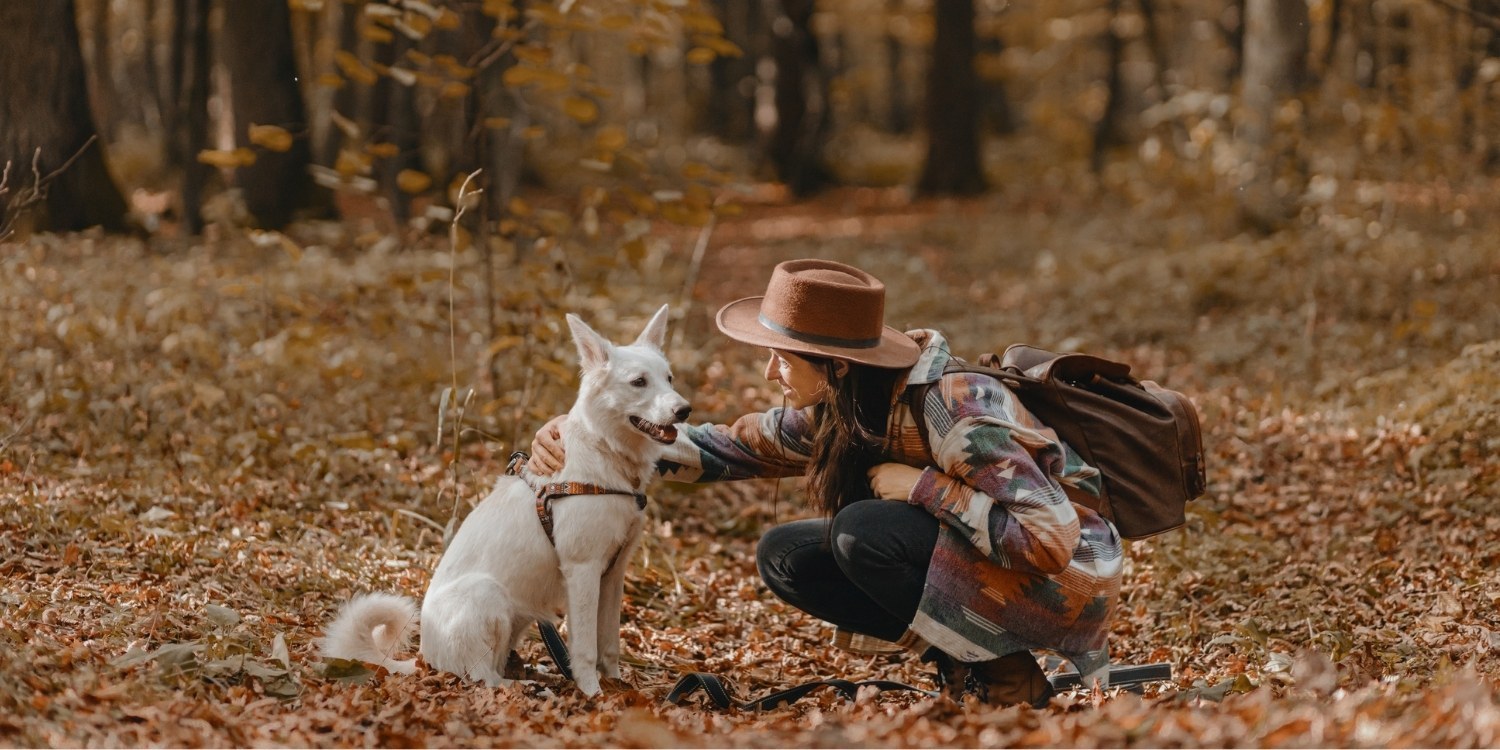 Most Loyal Dog Breeds - Local Pet Care