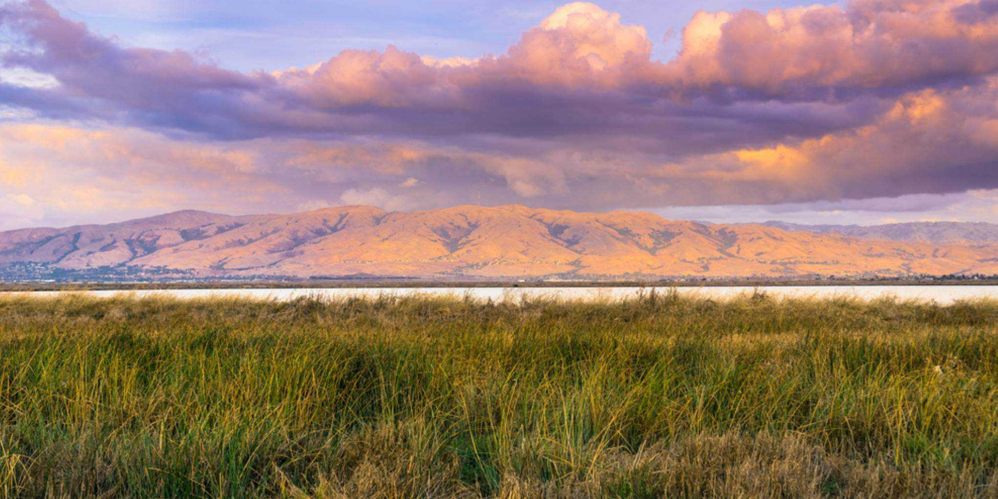Sunnyvale, CA skyline