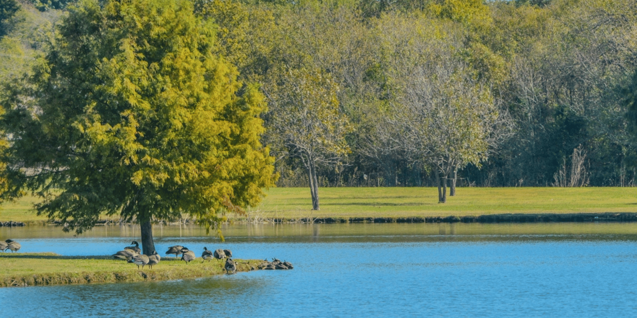 Mesquite, TX skyline