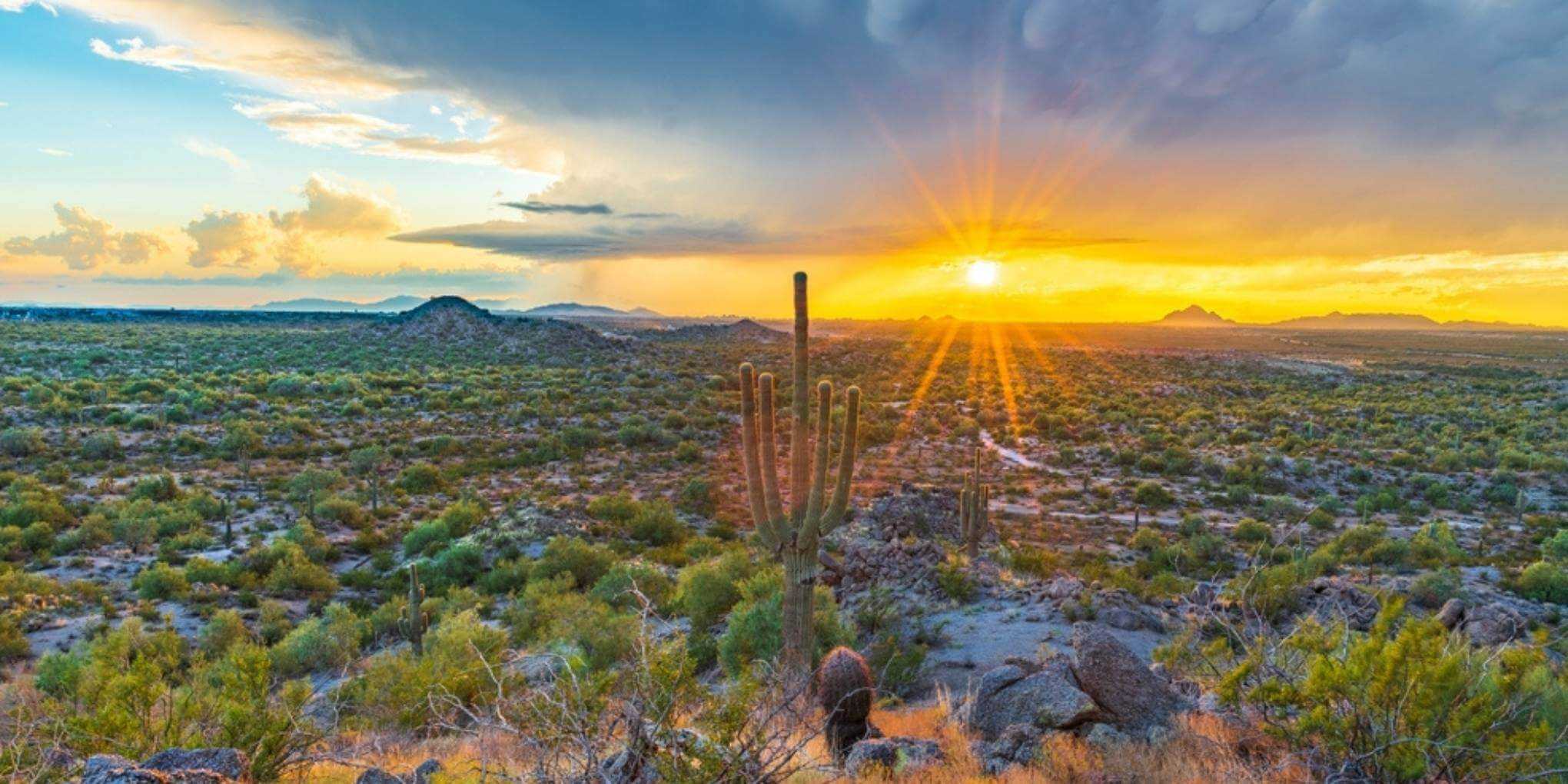 Mesa, AZ skyline