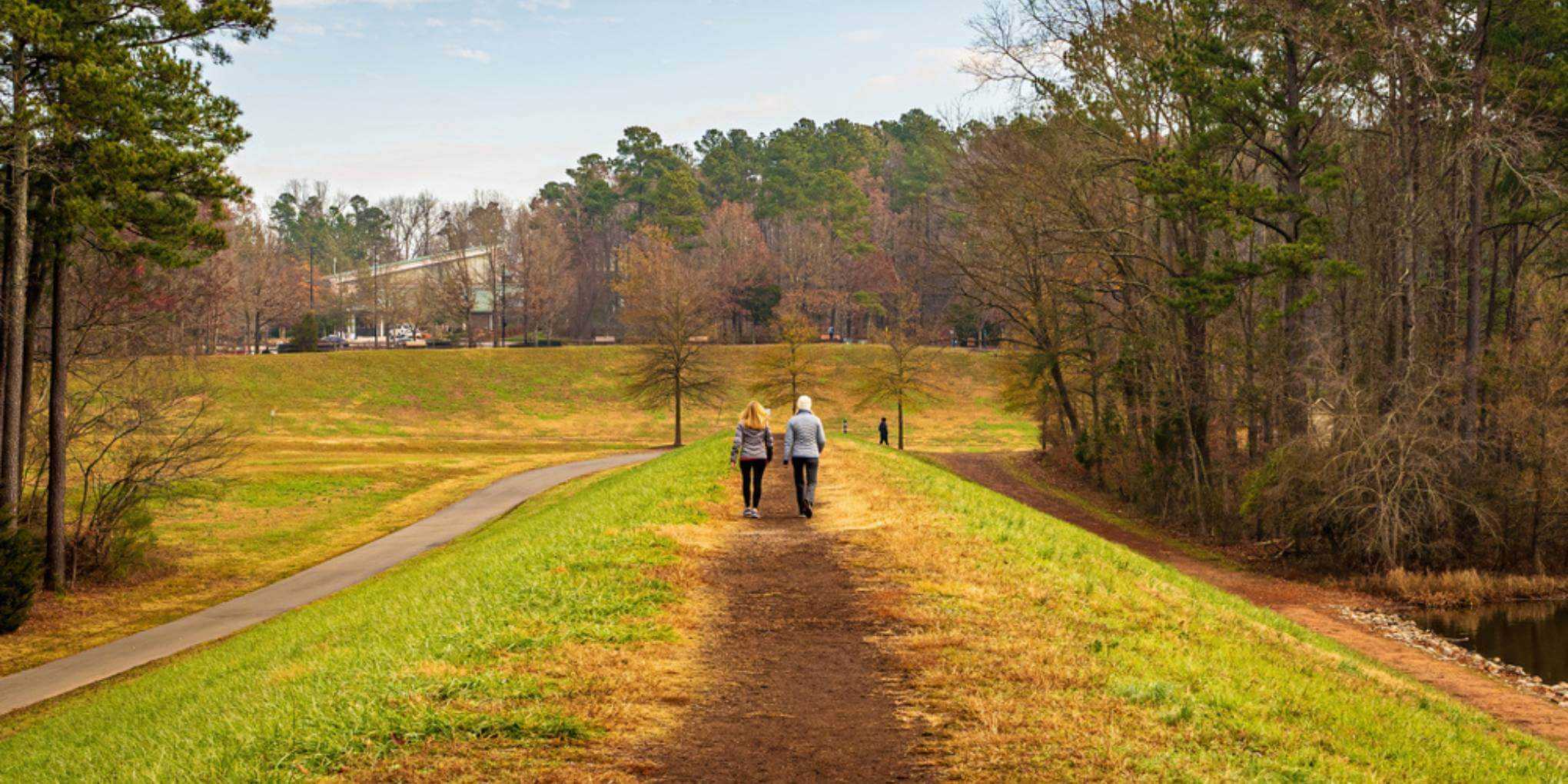 Cary, NC skyline