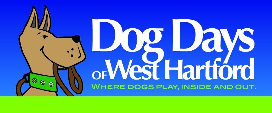 Dog Days of West Hartford logo