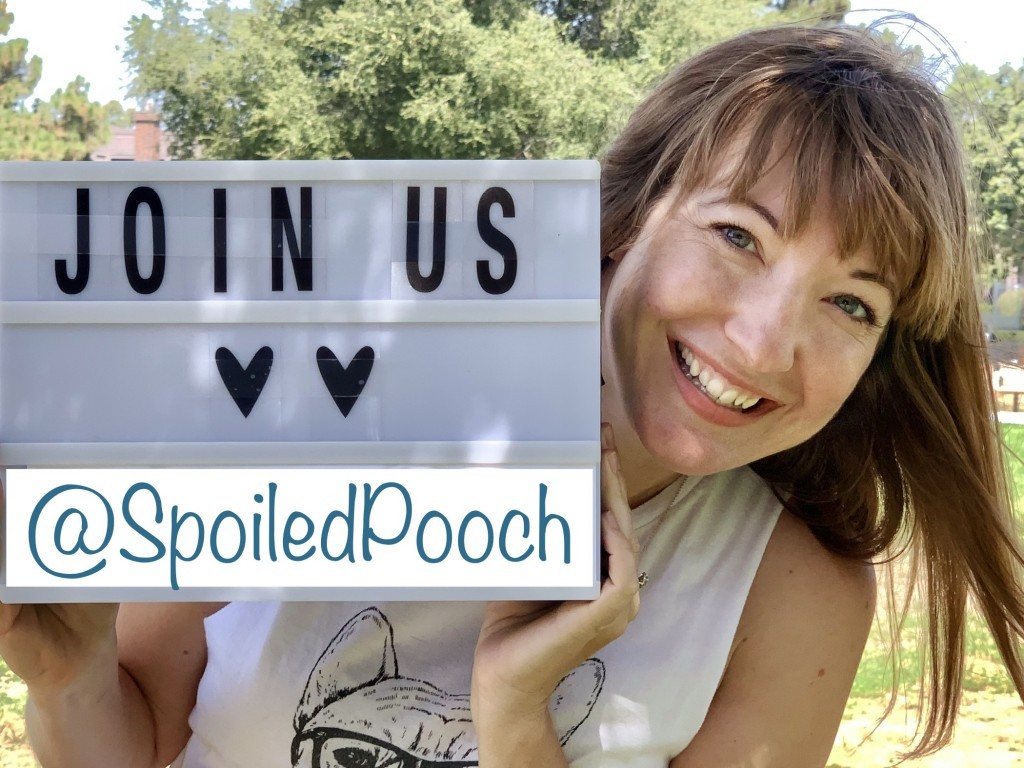 Spoiled Pooch logo