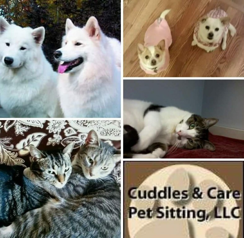 Cuddles & Care Pet Sitting Service, LLC logo