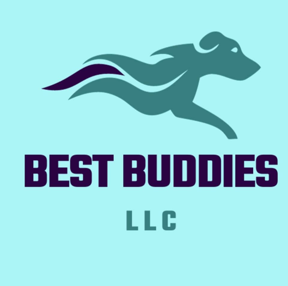 Best Buddies LLC logo