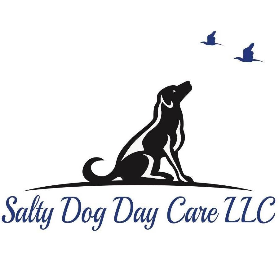 Salty Dog Day Care, LLC logo
