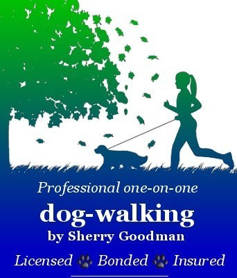See Sparky Run, LLC logo