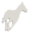 Rebecca's Equine Exercise Service logo