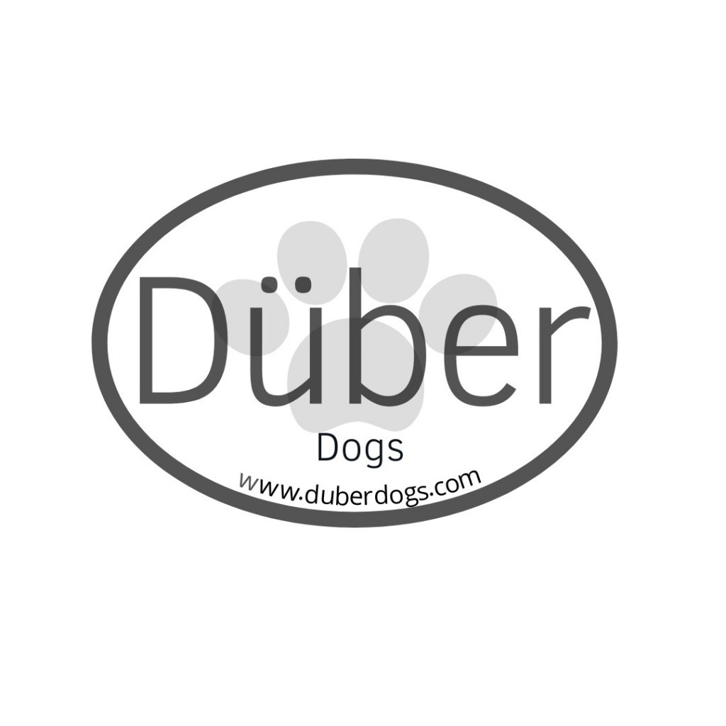 Duber Dogs Pet Taxi logo