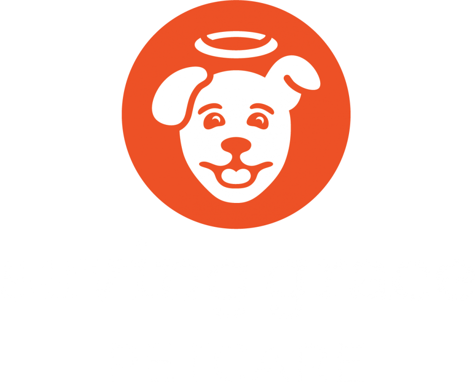 Saving Grace Petcare logo