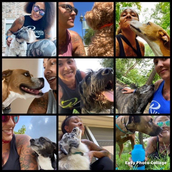 Lynn Walks Dogs logo