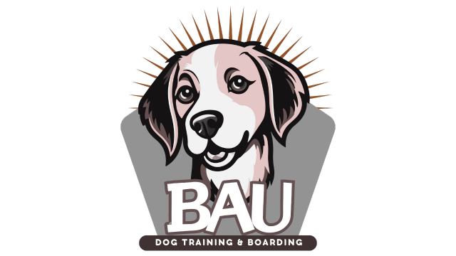 Bau logo