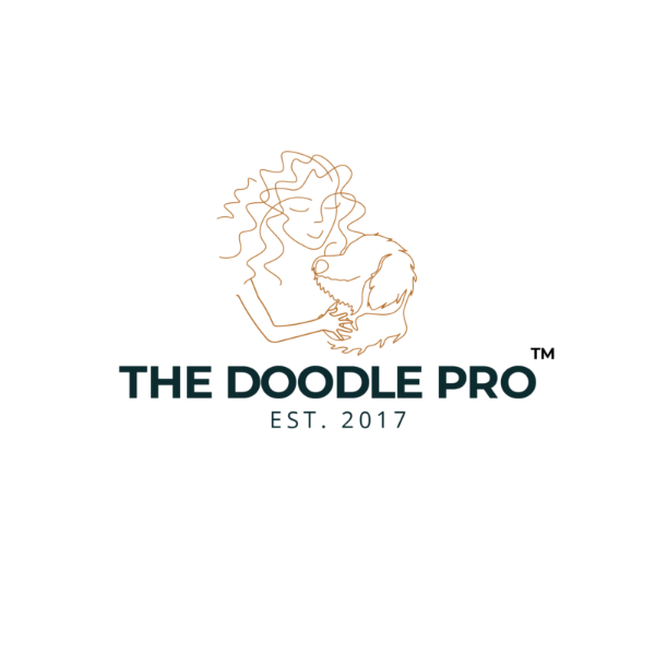 The Doodle Pro™ logo