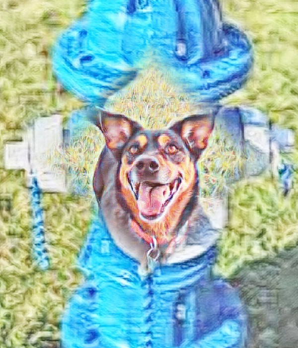 Blue Hydrant Pet Care logo