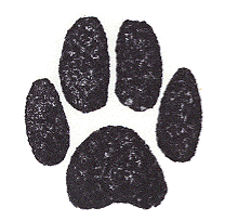 The Gratefull Dog logo
