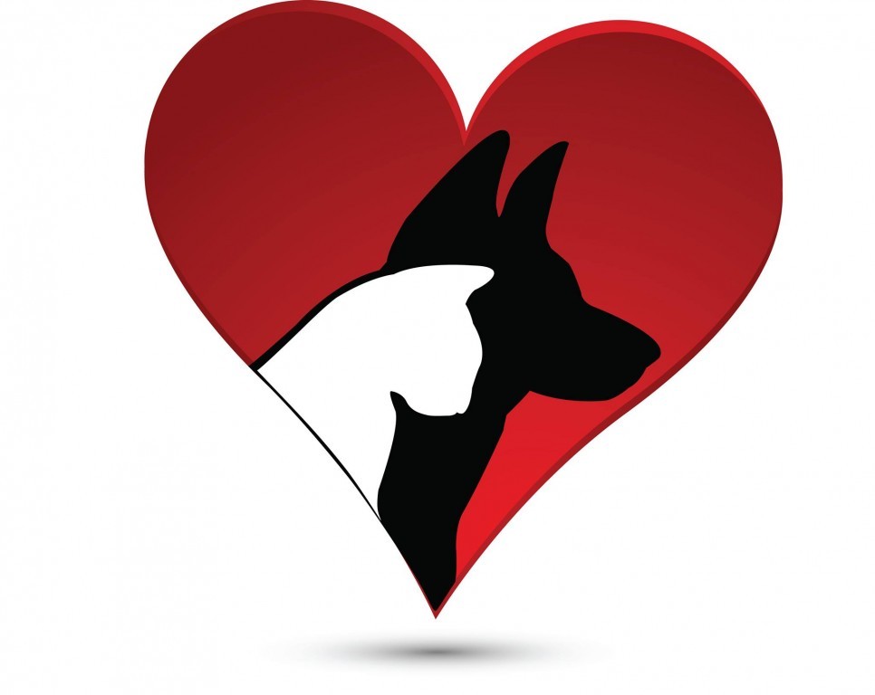 Heart & Soul Pet Sitting, LLC logo